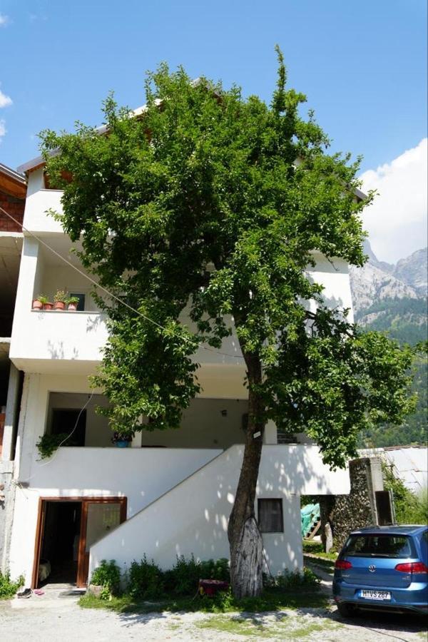 Guesthouse Skender Selimaj Valbone Exterior photo